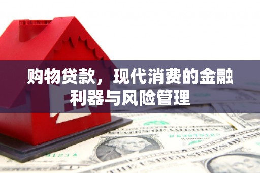 陆丰购物贷款，现代消费的金融利器与风险管理