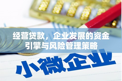抚州经营贷款，企业发展的资金引擎与风险管理策略
