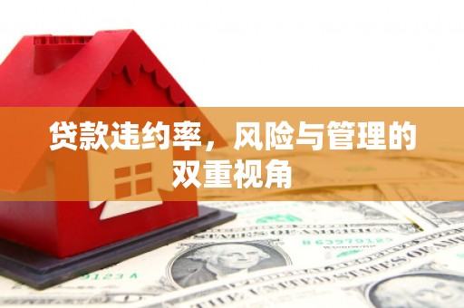 阆中贷款违约率，风险与管理的双重视角