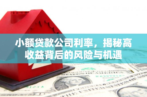 那玛夏小额贷款公司利率，揭秘高收益背后的风险与机遇