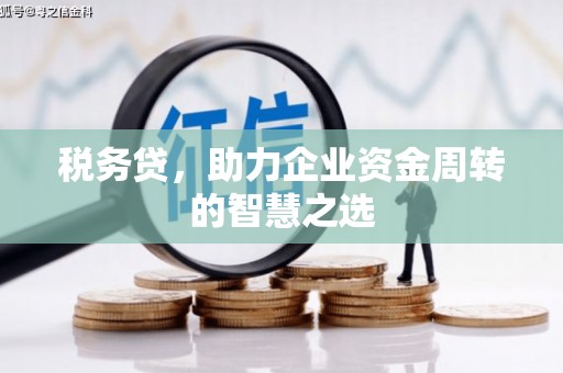 竹东税务贷，助力企业资金周转的智慧之选
