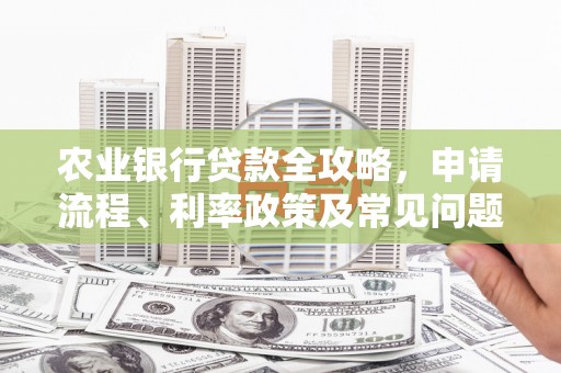 宝兴农业银行贷款全攻略，申请流程、利率政策及常见问题解析