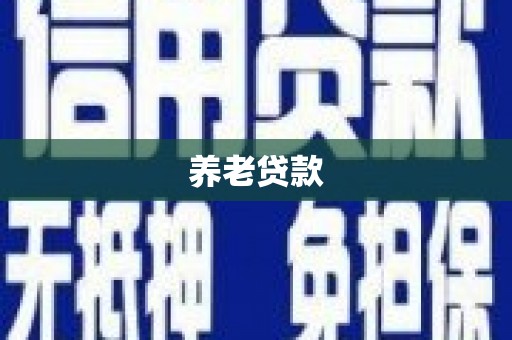 定陶养老贷款