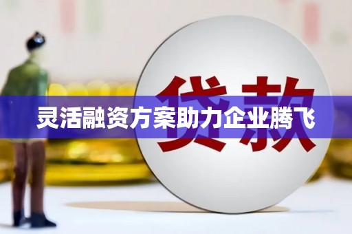 碑林灵活融资方案助力企业腾飞