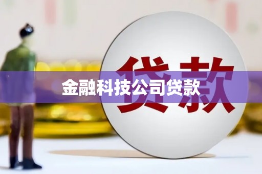 天祝金融科技公司贷款