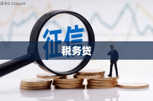 南涧税务贷