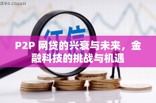 山上P2P 网贷的兴衰与未来，金融科技的挑战与机遇