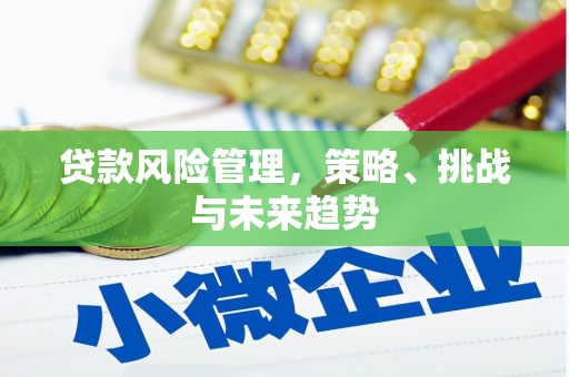 山海关贷款风险管理，策略、挑战与未来趋势
