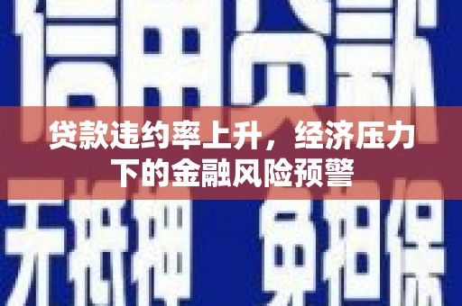 茂林贷款违约率上升，经济压力下的金融风险预警