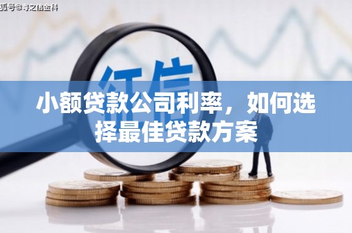 宁晋小额贷款公司利率，如何选择最佳贷款方案
