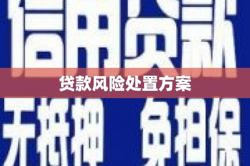 青冈贷款风险处置方案