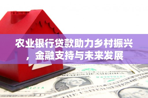 金安农业银行贷款助力乡村振兴，金融支持与未来发展