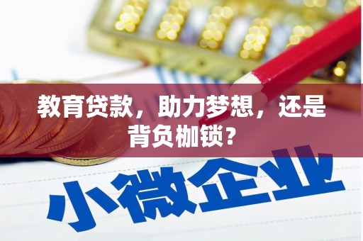 长白教育贷款，助力梦想，还是背负枷锁？