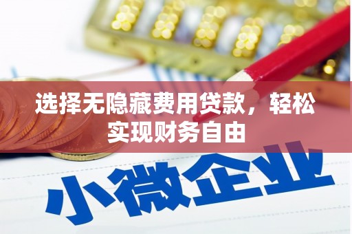 武川选择无隐藏费用贷款，轻松实现财务自由