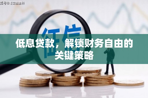嘉黎低息贷款，解锁财务自由的关键策略