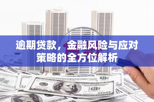 阜宁逾期贷款，金融风险与应对策略的全方位解析