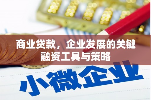 水磨沟商业贷款，企业发展的关键融资工具与策略