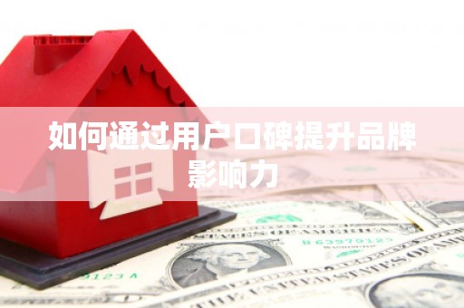 师宗如何通过用户口碑提升品牌影响力