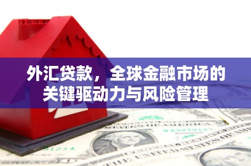 绥阳外汇贷款，全球金融市场的关键驱动力与风险管理