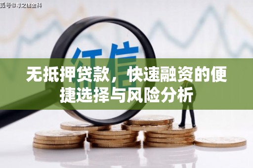 阜宁无抵押贷款，快速融资的便捷选择与风险分析