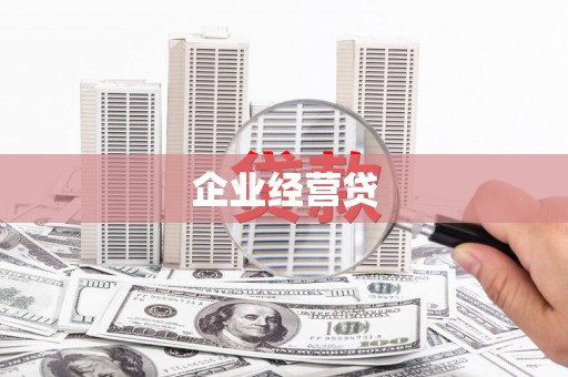 岷县企业经营贷