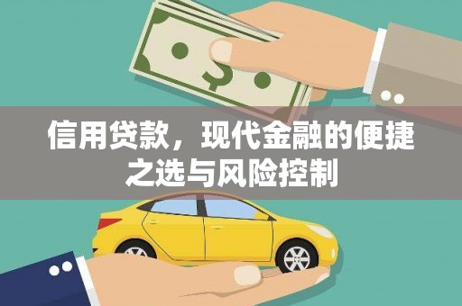济宁信用贷款，现代金融的便捷之选与风险控制