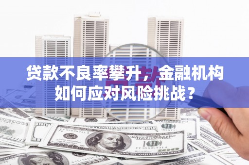 阳春贷款不良率攀升，金融机构如何应对风险挑战？