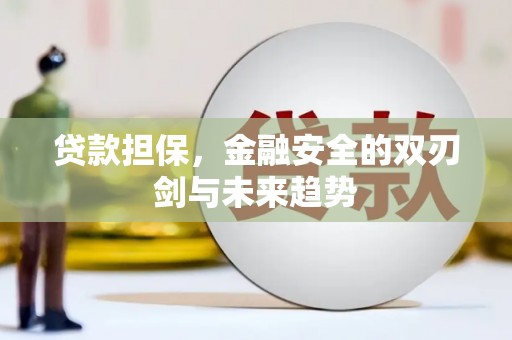 明溪贷款担保，金融安全的双刃剑与未来趋势