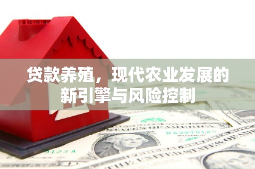 洞头贷款养殖，现代农业发展的新引擎与风险控制