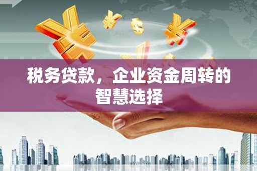 兴县税务贷款，企业资金周转的智慧选择