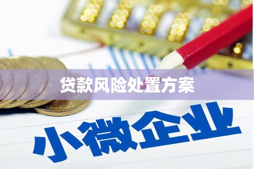 西和贷款风险处置方案