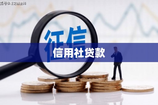 巴塘信用社贷款