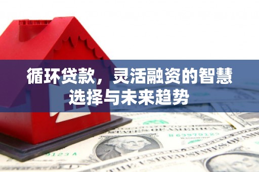 吴桥循环贷款，灵活融资的智慧选择与未来趋势