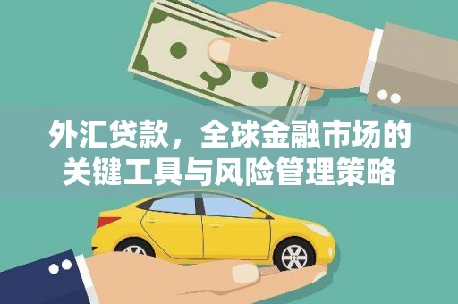 玉山外汇贷款，全球金融市场的关键工具与风险管理策略
