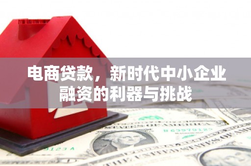 王益电商贷款，新时代中小企业融资的利器与挑战