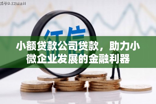虾峙小额贷款公司贷款，助力小微企业发展的金融利器