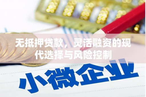 玛家无抵押贷款，灵活融资的现代选择与风险控制