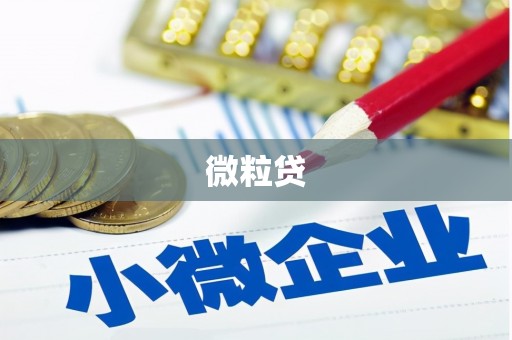 秀屿微粒贷
