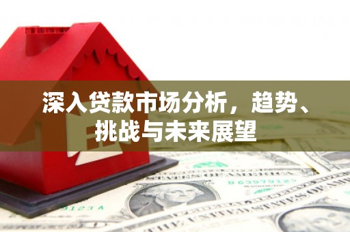 麦寮深入贷款市场分析，趋势、挑战与未来展望