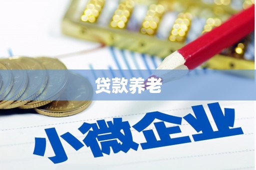 寿丰贷款养老