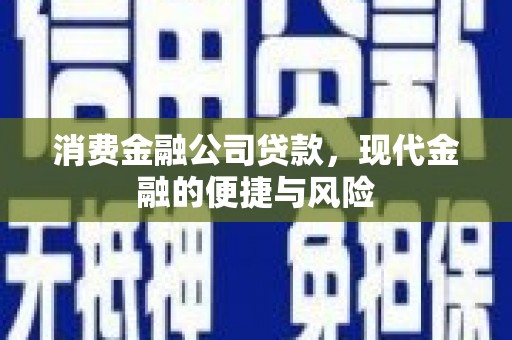 山阳消费金融公司贷款，现代金融的便捷与风险