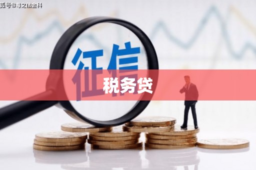 海安税务贷