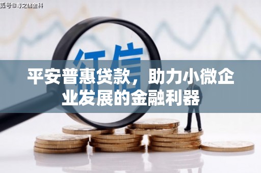 任县平安普惠贷款，助力小微企业发展的金融利器