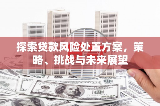 延津探索贷款风险处置方案，策略、挑战与未来展望