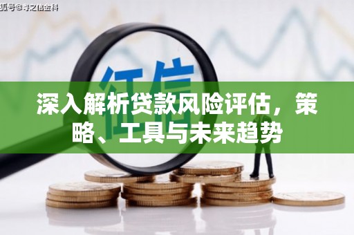 中国香港深入解析贷款风险评估，策略、工具与未来趋势
