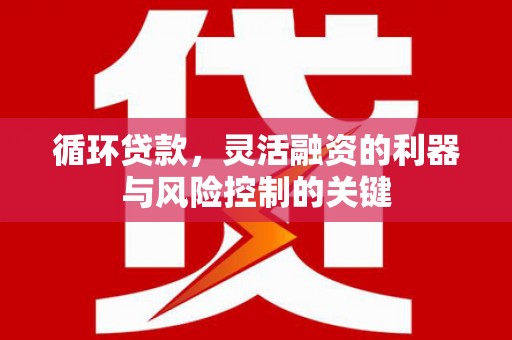 咸宁循环贷款，灵活融资的利器与风险控制的关键