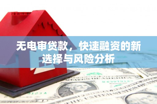 长滨无电审贷款，快速融资的新选择与风险分析