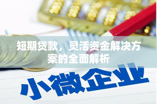 坡头短期贷款，灵活资金解决方案的全面解析