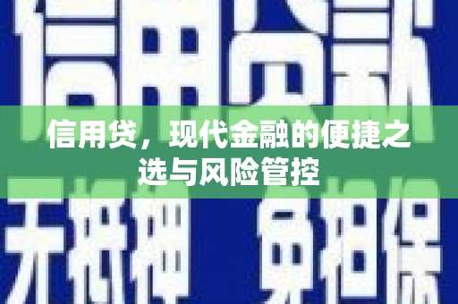 光明新区信用贷，现代金融的便捷之选与风险管控