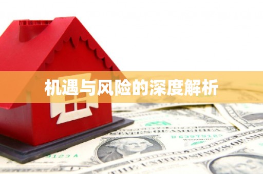 肥乡机遇与风险的深度解析